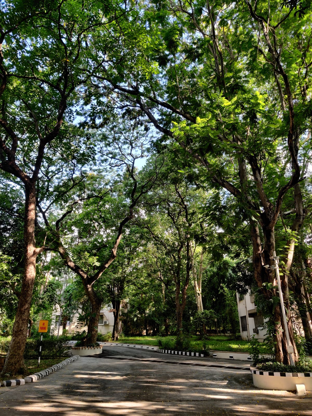 XLRI Jamshedpur Campus and infrastructure photo 6